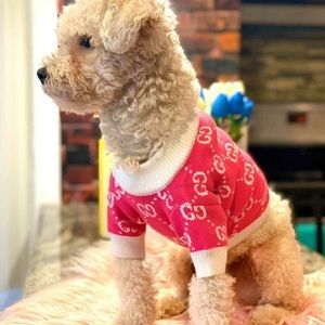 Gucci dog cat pet shirt